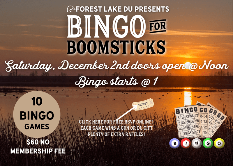 Forest Lake Bingo at Friar's Bar Sat, Dec 2, 2023