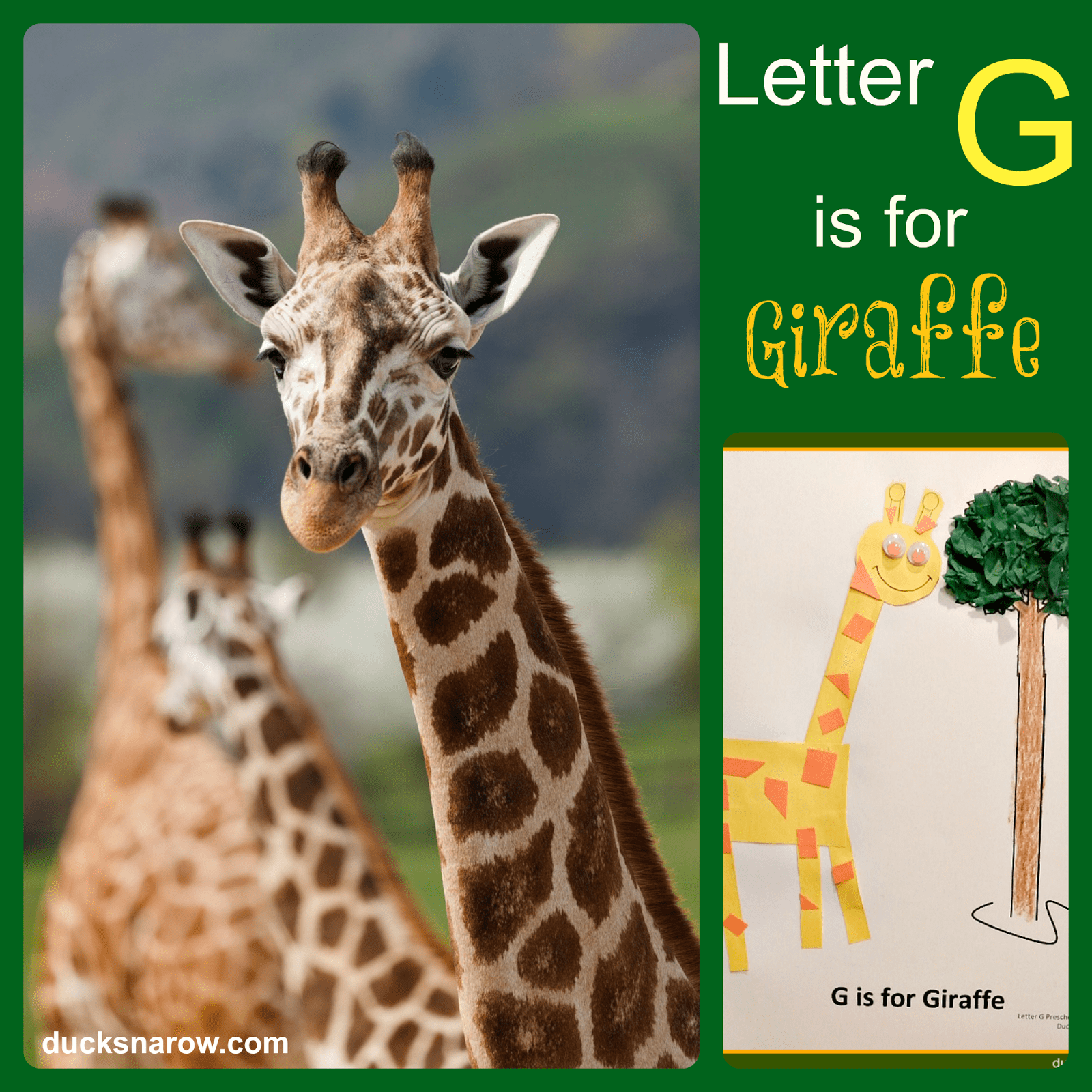 G is for Giraffe Preschool Lesson & Fun Craft Ducks 'n a Row