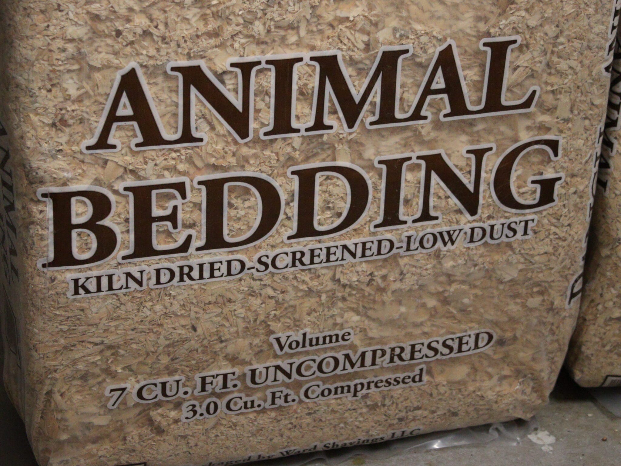 What is the Best Bedding for Ducks?