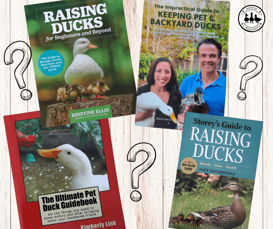 What is the Best Bedding for Ducks?
