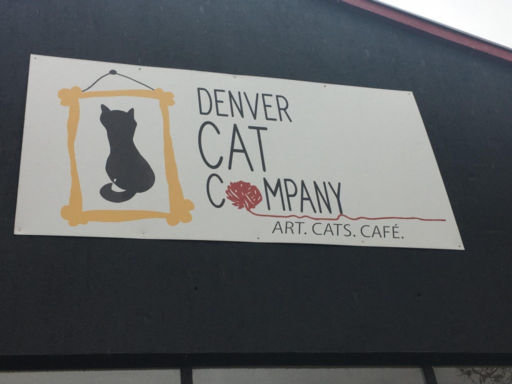 Denver Cat Company excites consumers DU Clarion