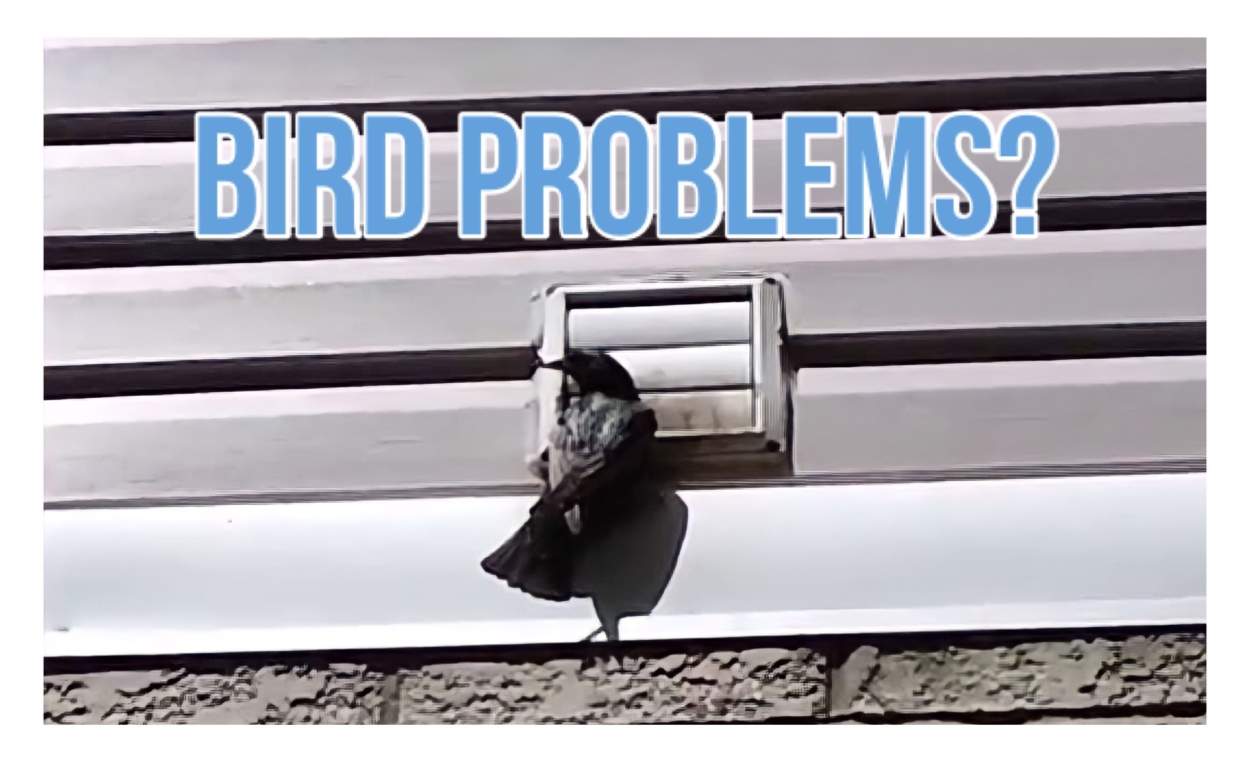 BIRD GUARD INSTALLATION Ducts R Us Air Duct & Dryer Vent Cleaning