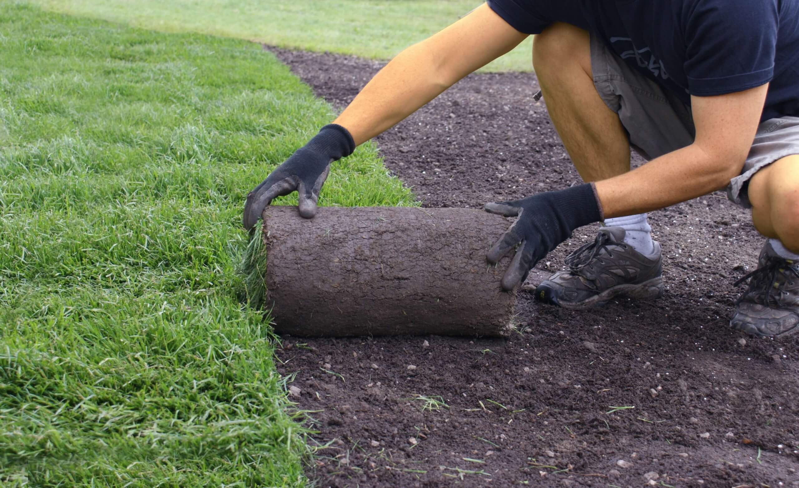 How to Lay Sod One Step at a Time Duda Sod