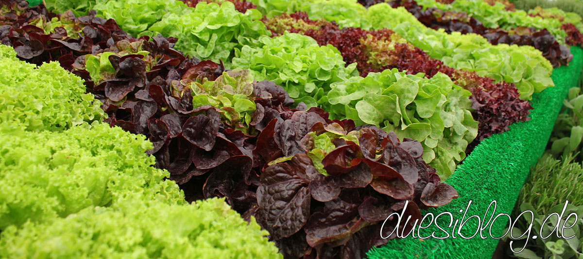 Gesetzliche Definition vegan und vegetarisch Düsiblog Matthias Düsi