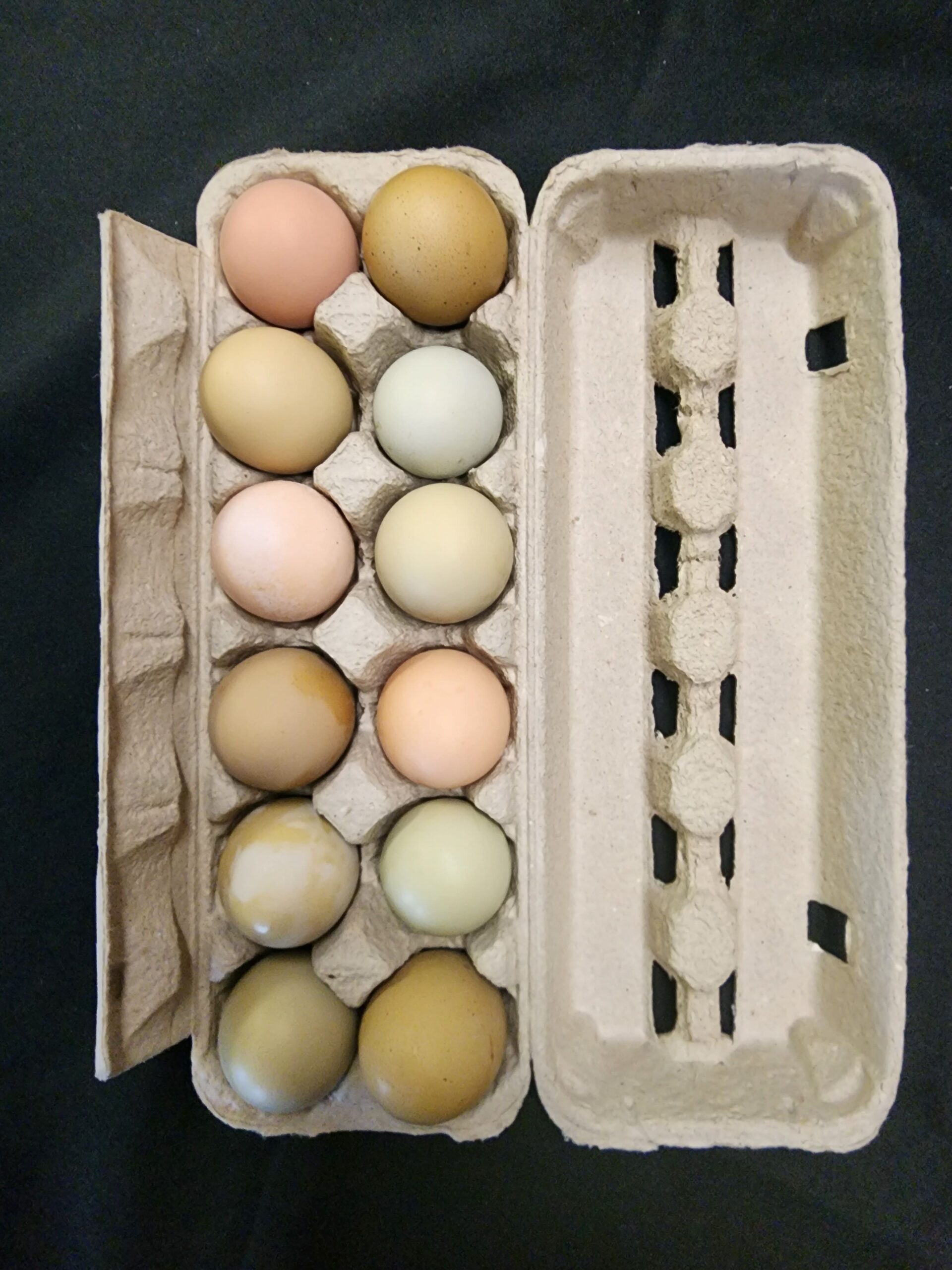 Fruitful Acres Landscape