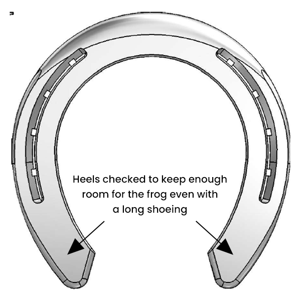 Sport Wide Front With Toe Clip Dufour