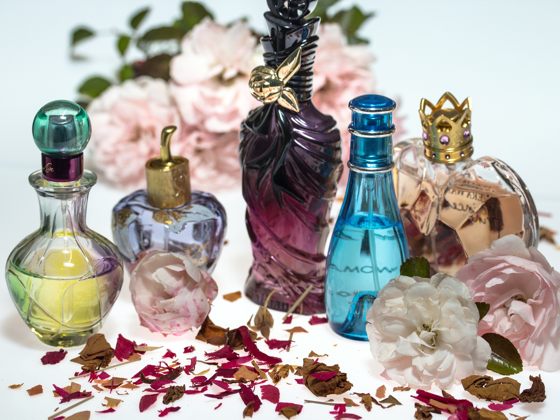 Parfum Dupes Die besten Duftzwillinge für 2020 I duftcheck.de