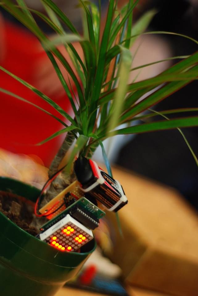 Make your plant smile using Arduino duino