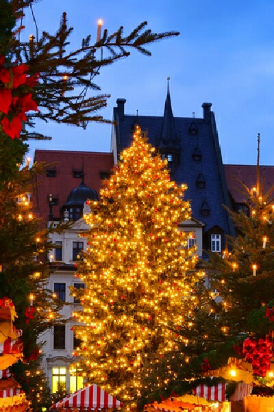 Leipzig Christmas Tree 2022 Duitse Kerstmarkt In Leipzig 2022