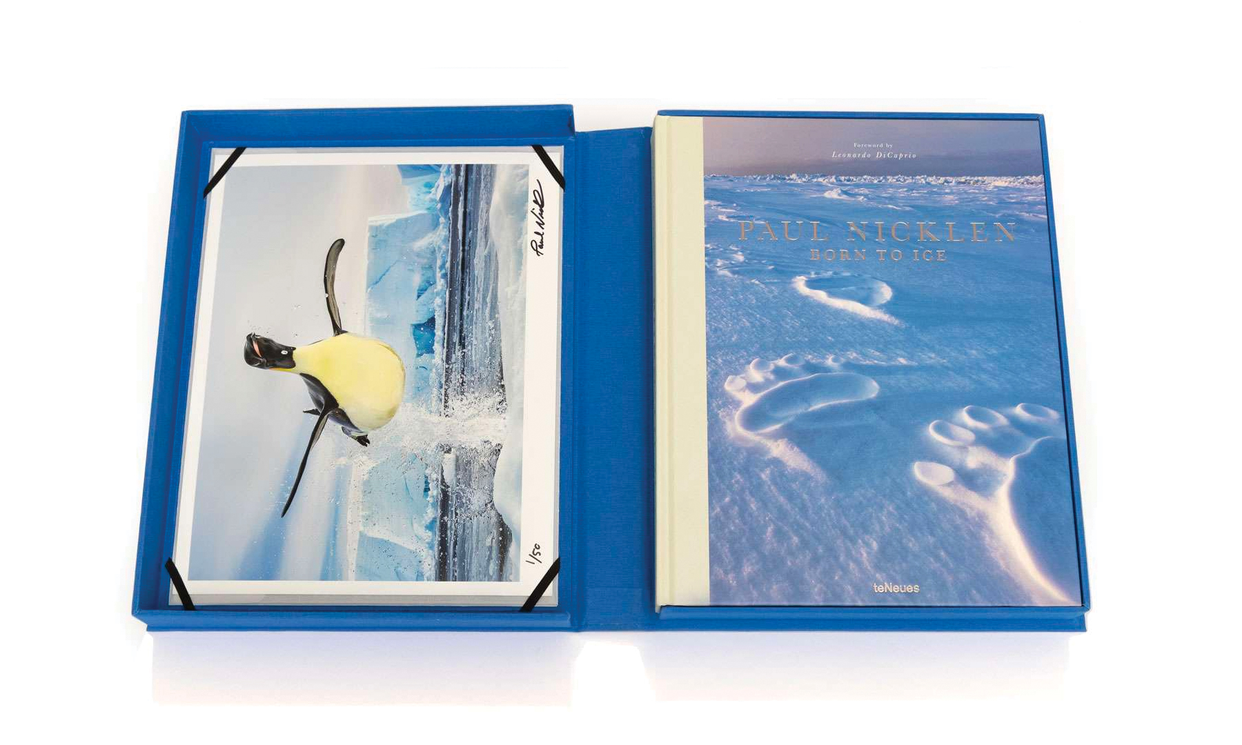 The 10 Best Coffee Table Books DuJour