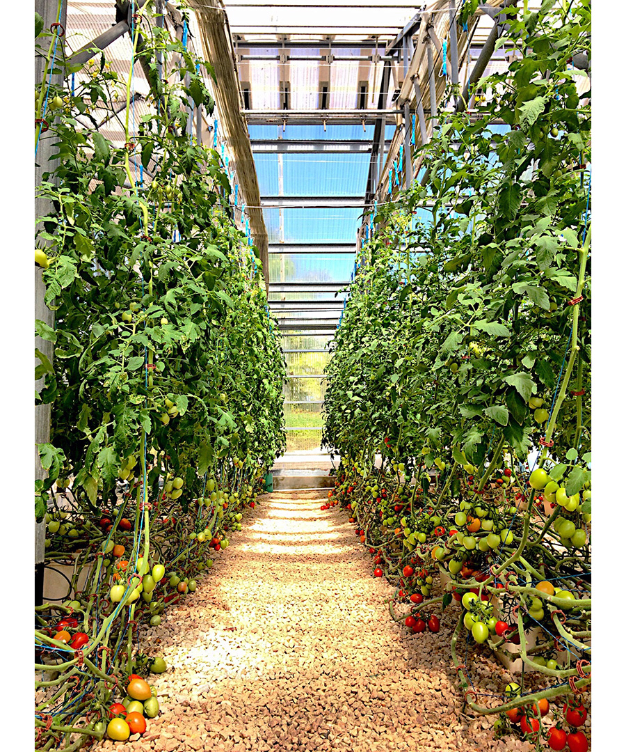 Anguilla’s CuisinArt Resort DuJour