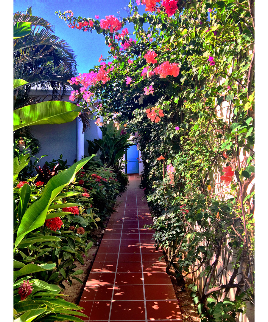 Anguilla’s CuisinArt Resort DuJour