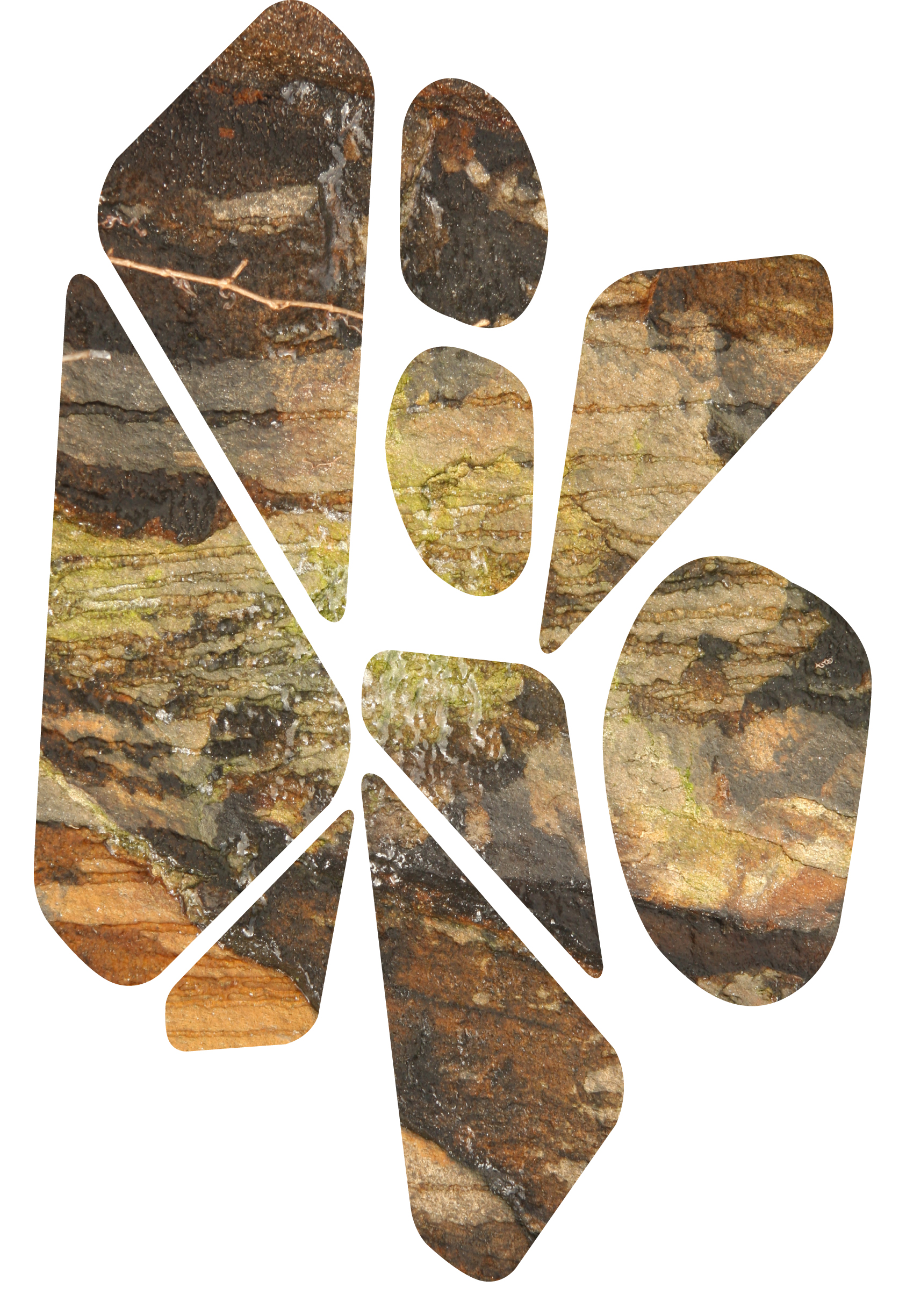 Organic Shapes Duk duk blog