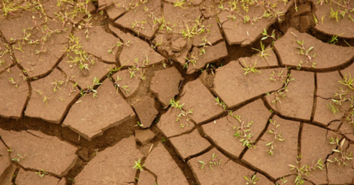 Soil Pollution and Its Effects Duke Environmental