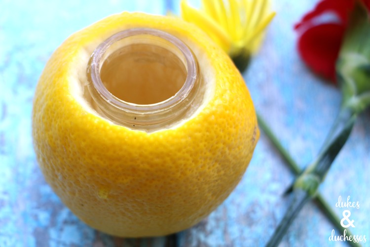 How to Make a Lemon Vase Dukes and Duchesses