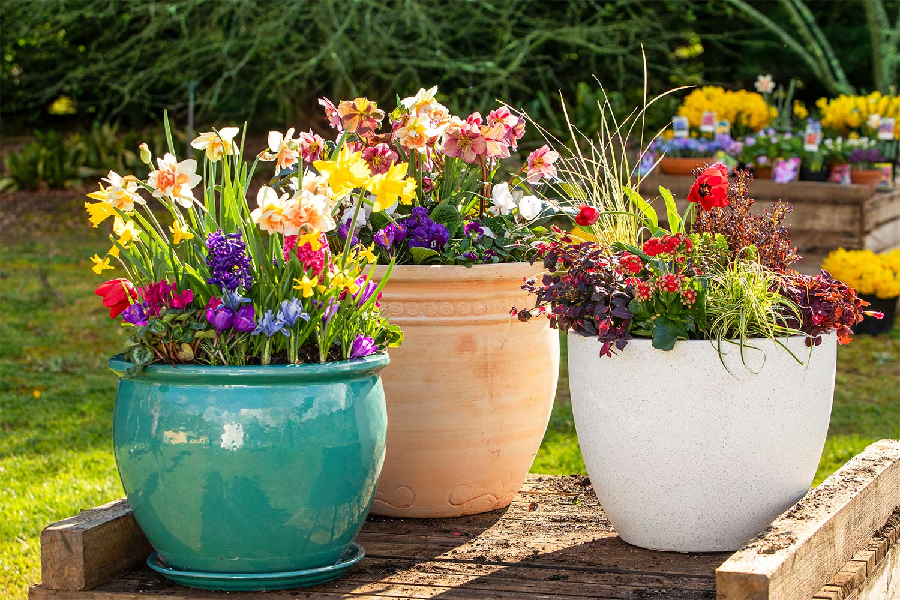 MEET WITH THE BEST NURSERY POTS SELLER Dull Magazine