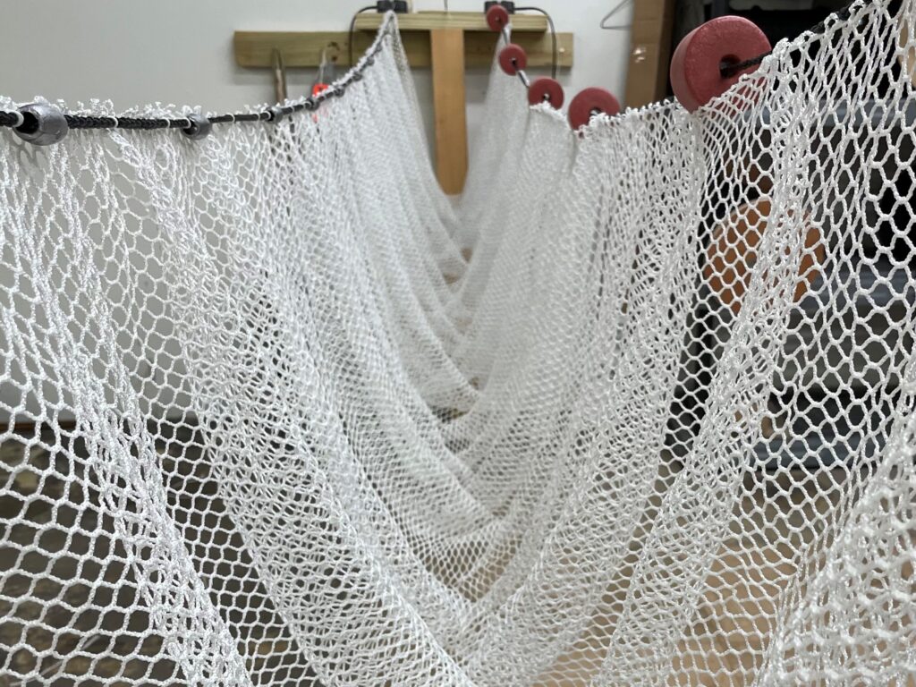 Smelt Seine Great Lakes Smelt Duluth Fish Nets An H. Christiansen