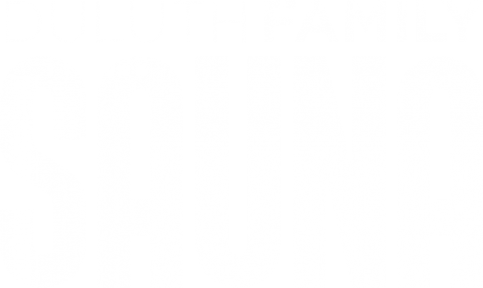 Home Duluth Family Sauna