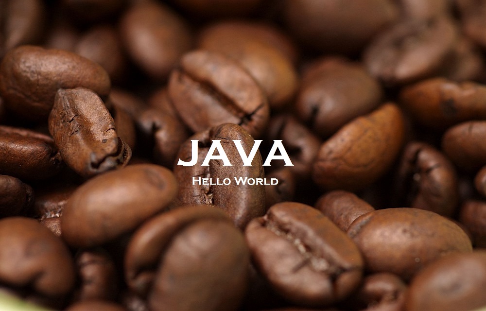 Java Demo Program | First Java Program - Dumb IT Dude