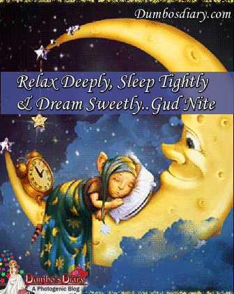 29+ Sweet Dreams Sleepy Good Night Funny Gif PNG