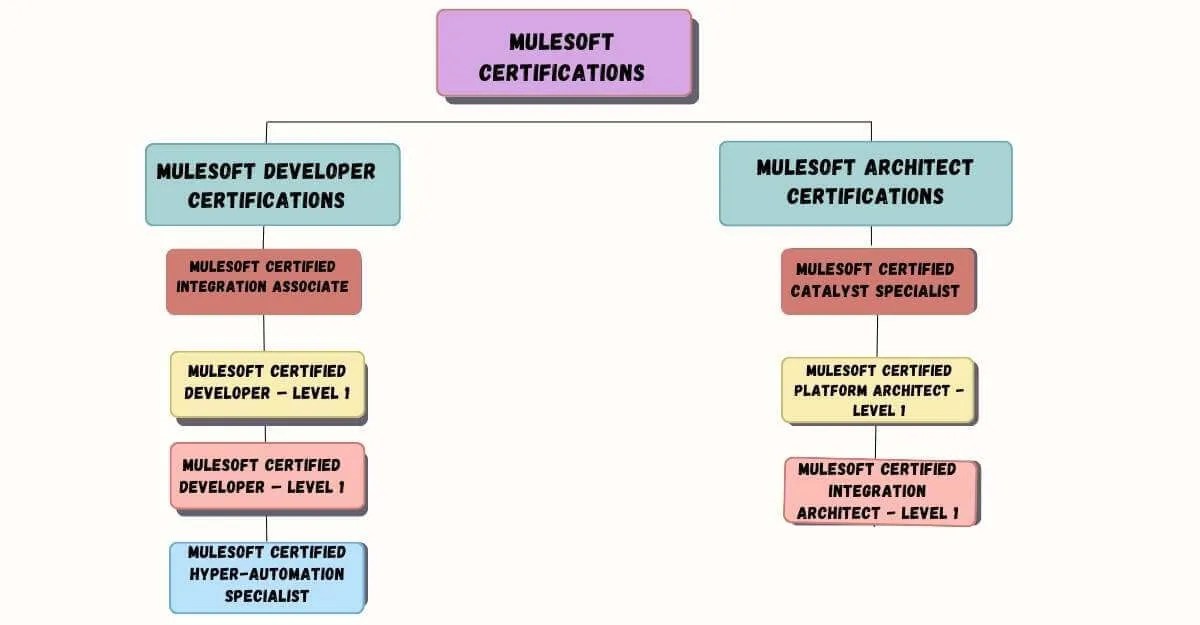 Delve Deep into MuleSoft Certifications to Step Forward in the