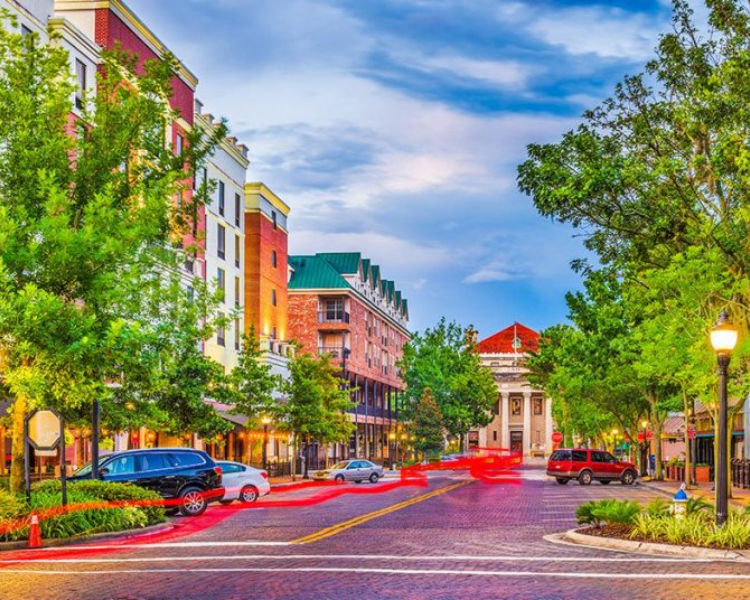 Easy Dumpster Rental Gainesville Fl at Norma Manning blog