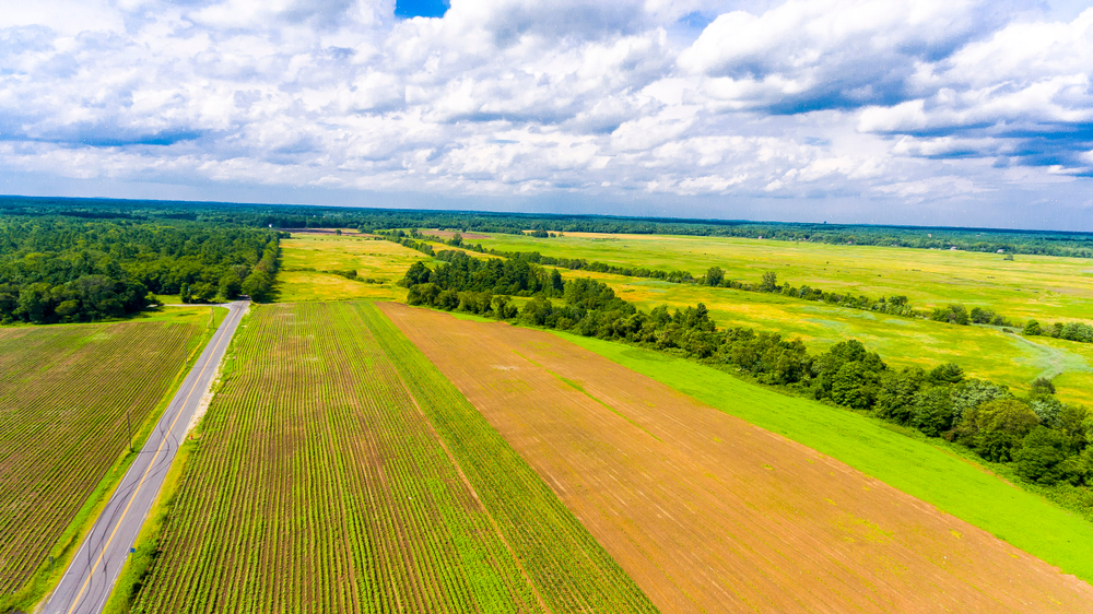 Middleboro, MA Dumpster Rental Services Dump U Junk