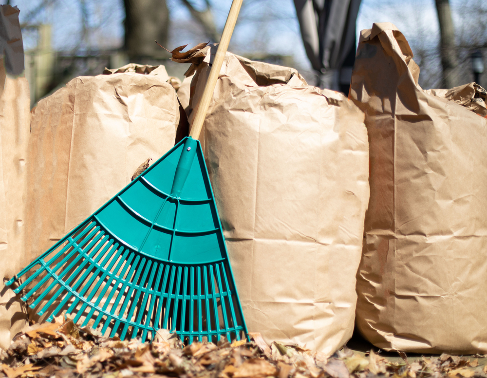 Tips for Removing Yard Waste Dump U Junk