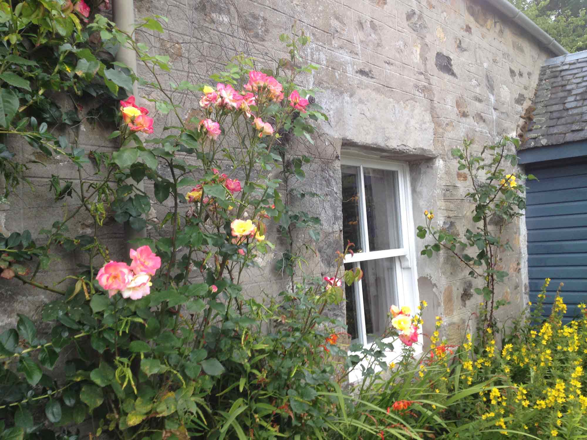 Rose Cottage self catering holiday cottage