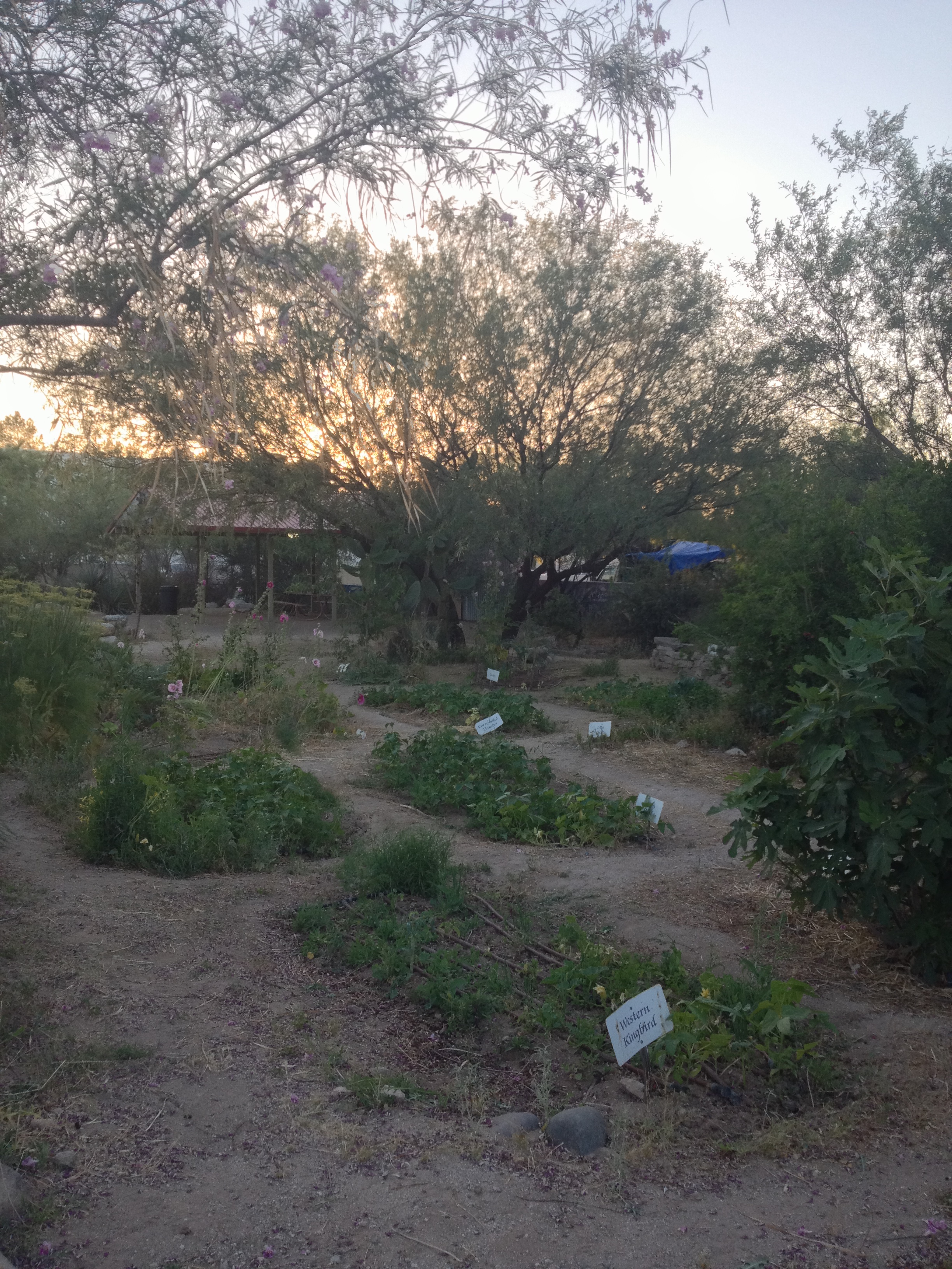 Dunbar/Spring Community Garden Dunbar/Spring Neighborhood