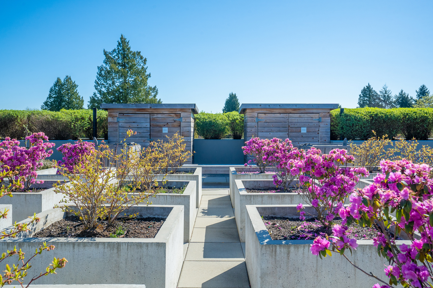 Dunbar Terrace Luxury Apartments