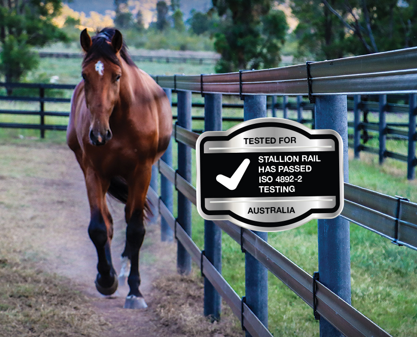 Introducing the Stallion of Flexible Rail Fencing Duncan Equine Australia