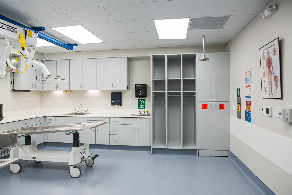 The Wood Mortuary Duncan Stuart Todd