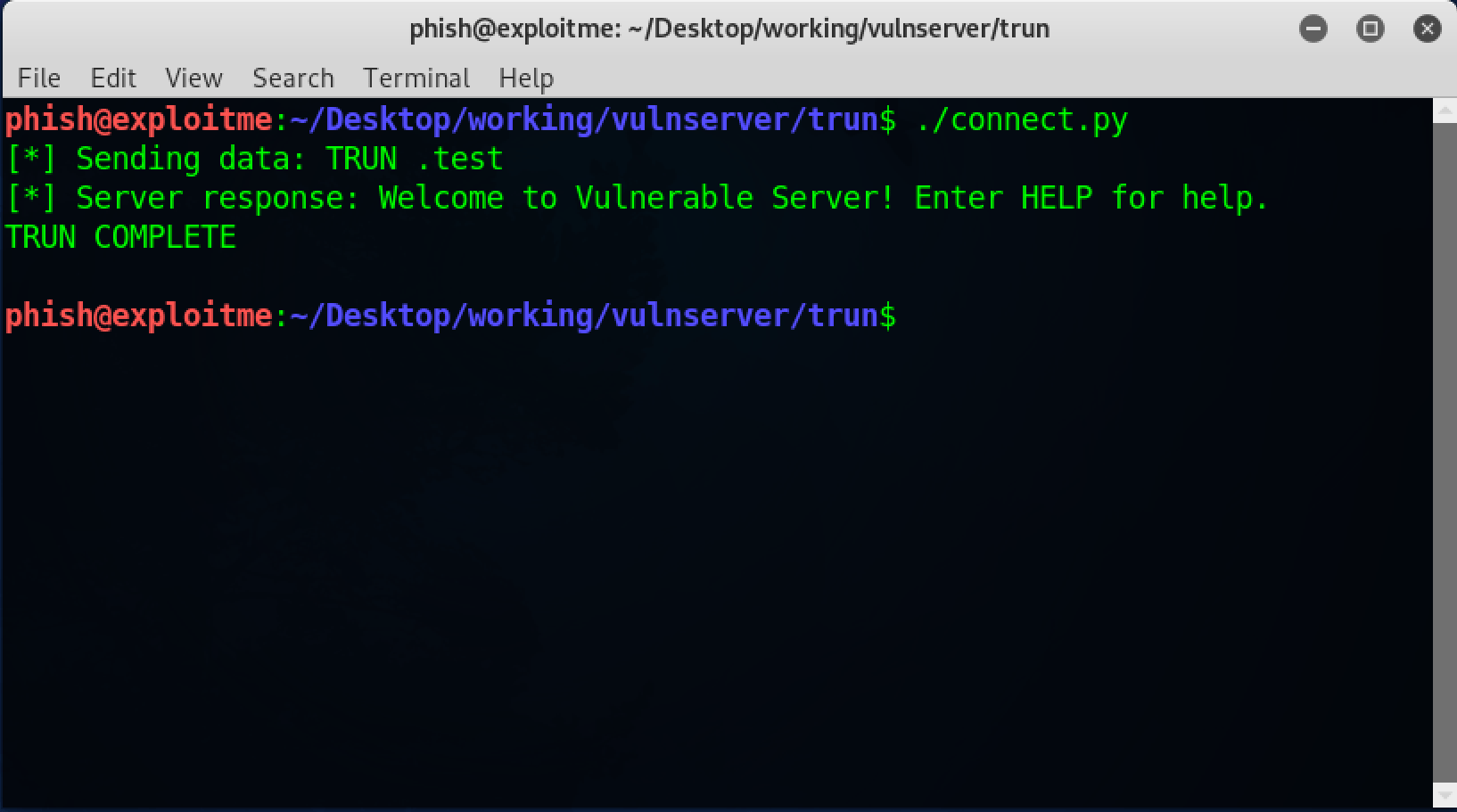 Exploiting vulnserver Intro · phish