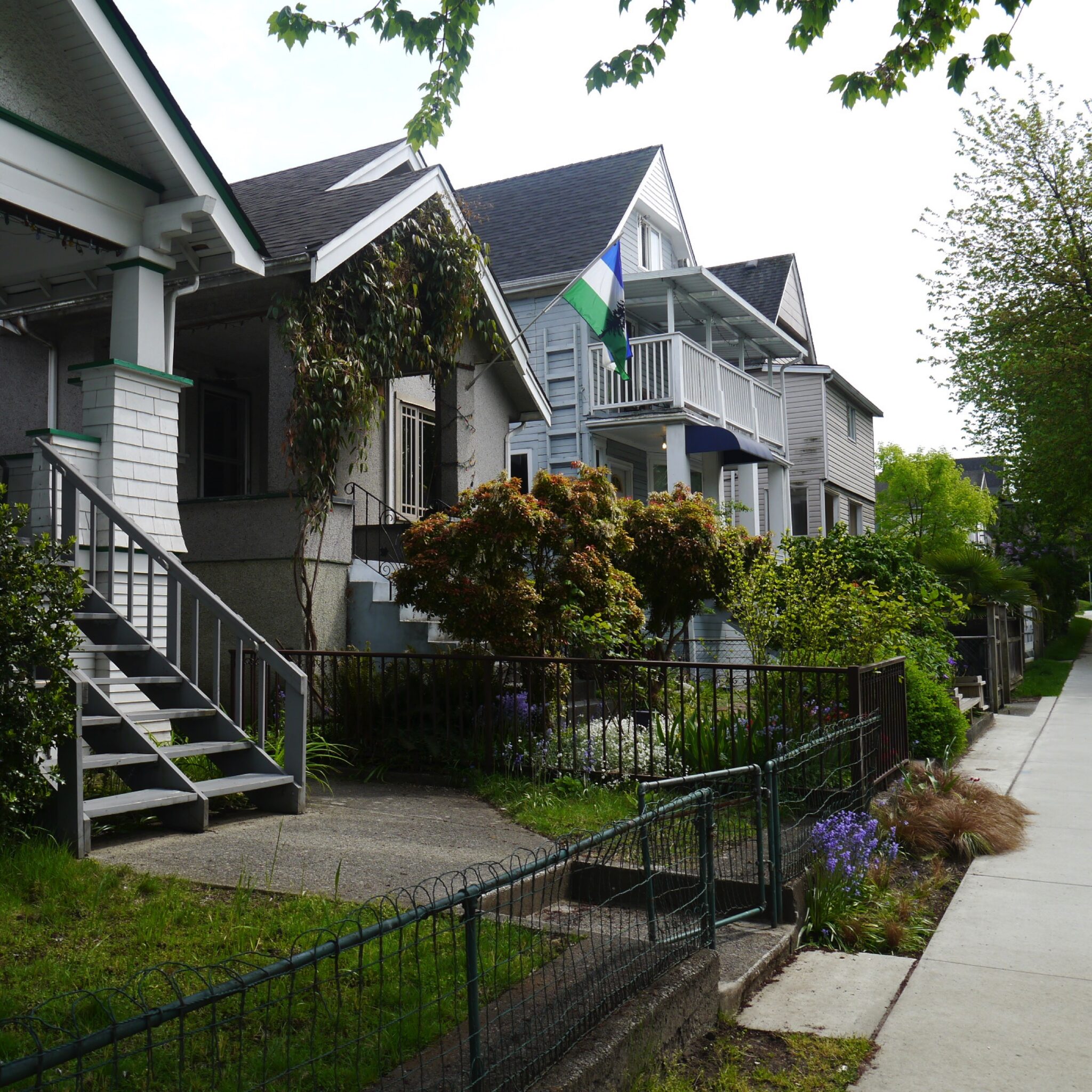 Victoria Drive Cohousing Dunefield