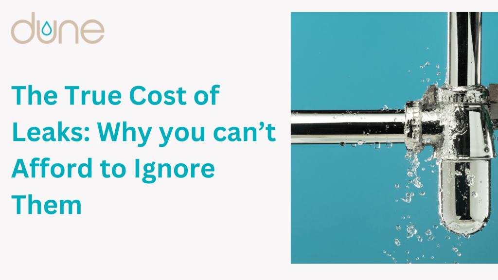 The True Cost of Leaks Why You Can’t Afford to Ignore Them Dune