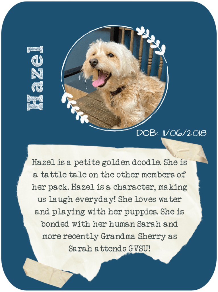 Mamas Dune Pack Doodles and Poodles