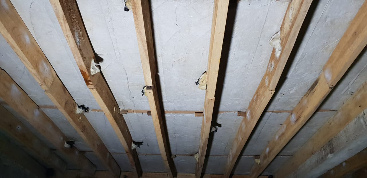 Papan Sirip Jangan Licin – Dunia Walet