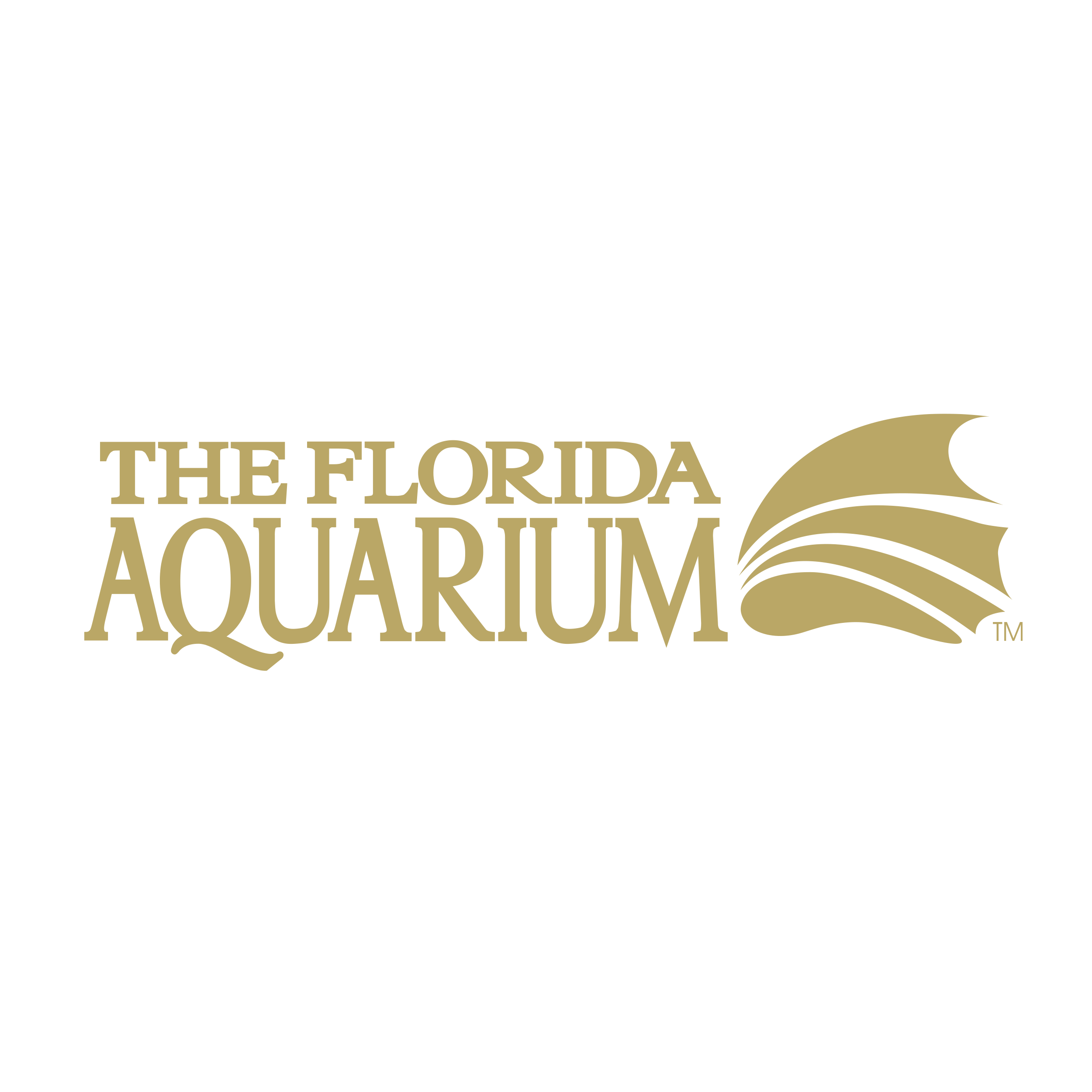 The Florida Aquarium Dunn&Co. » Ad Agency Tampa Florida Advertising