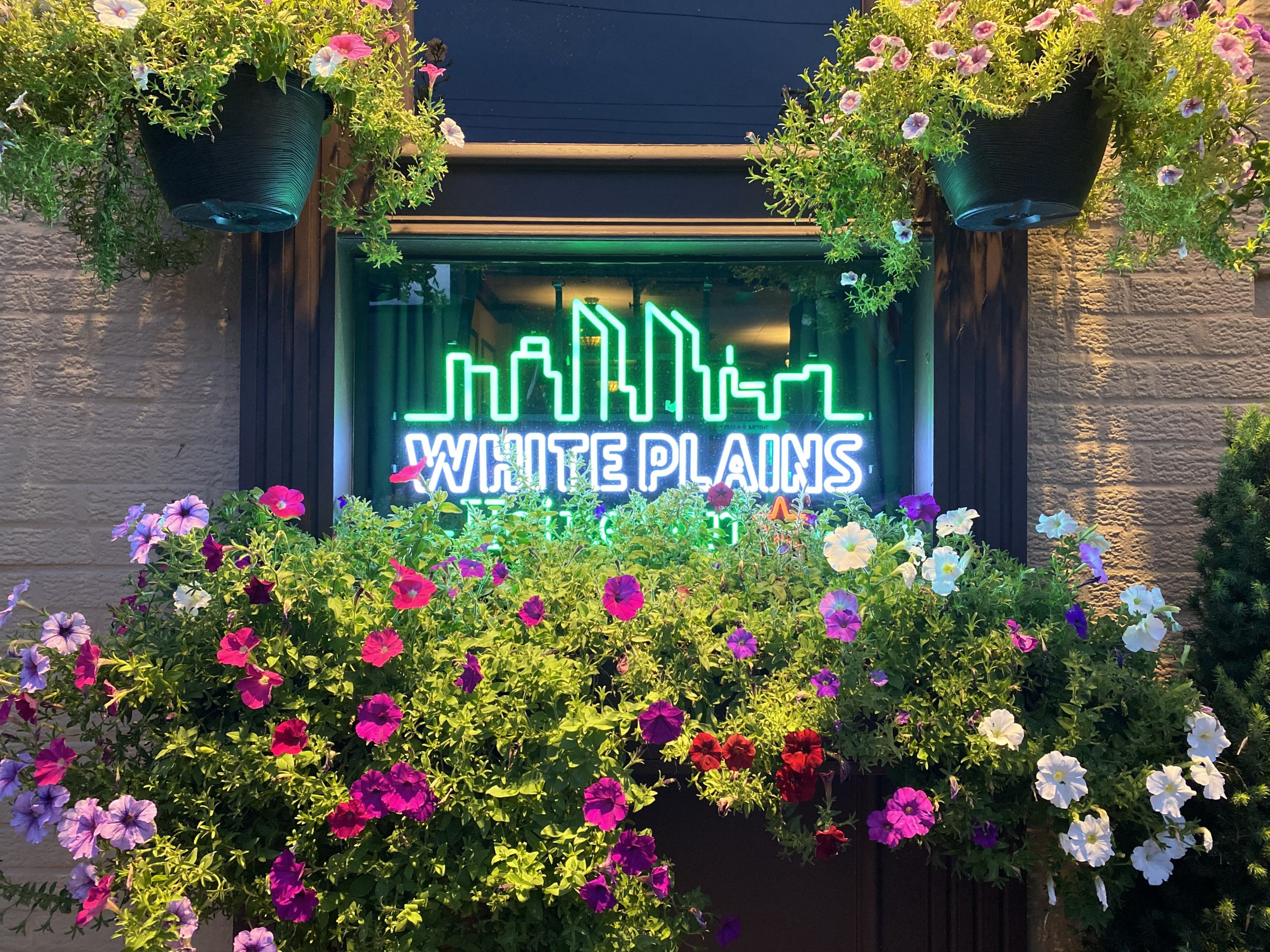 Dunne's Pub Food Menu White Plains, NY