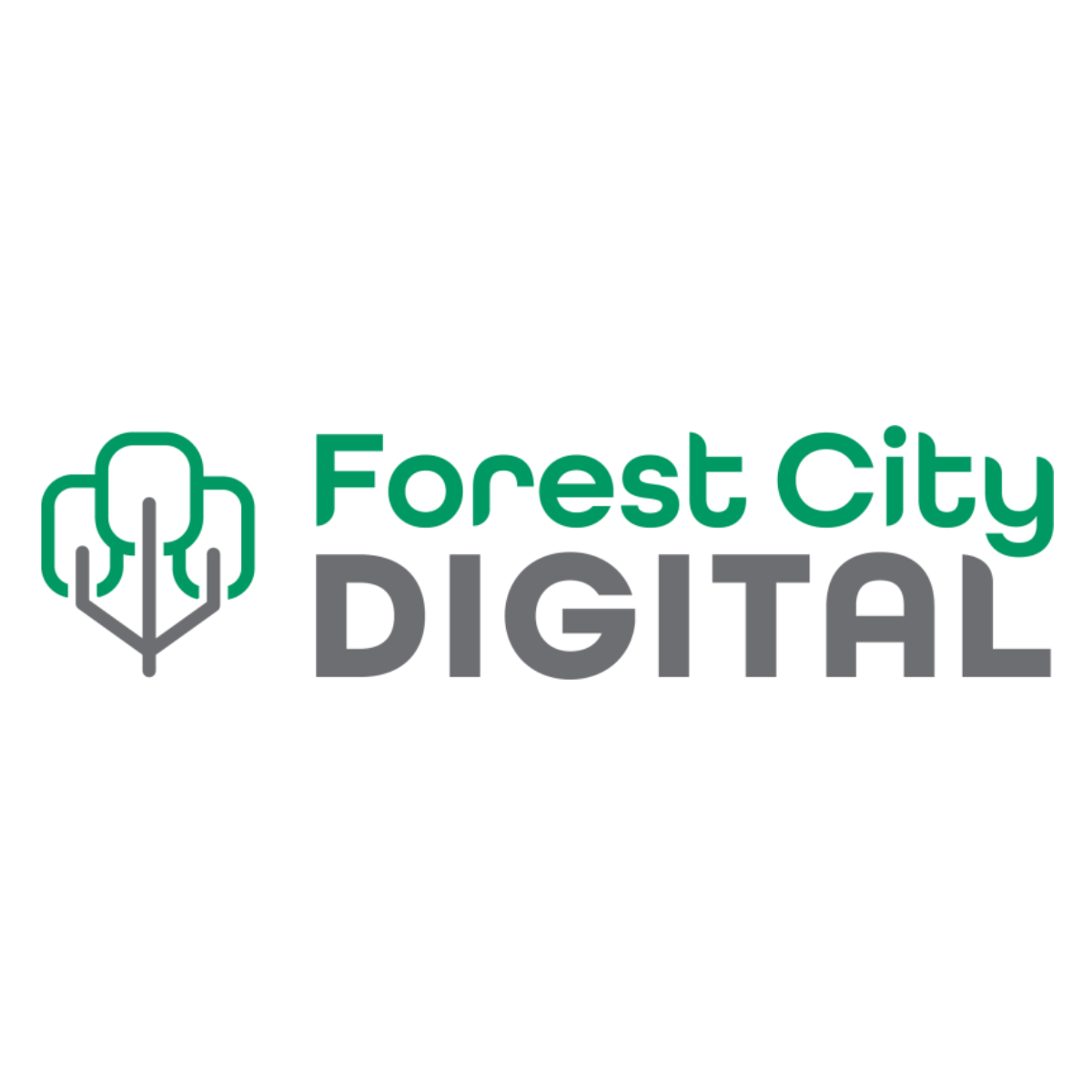 Forest City Digital Duoplane