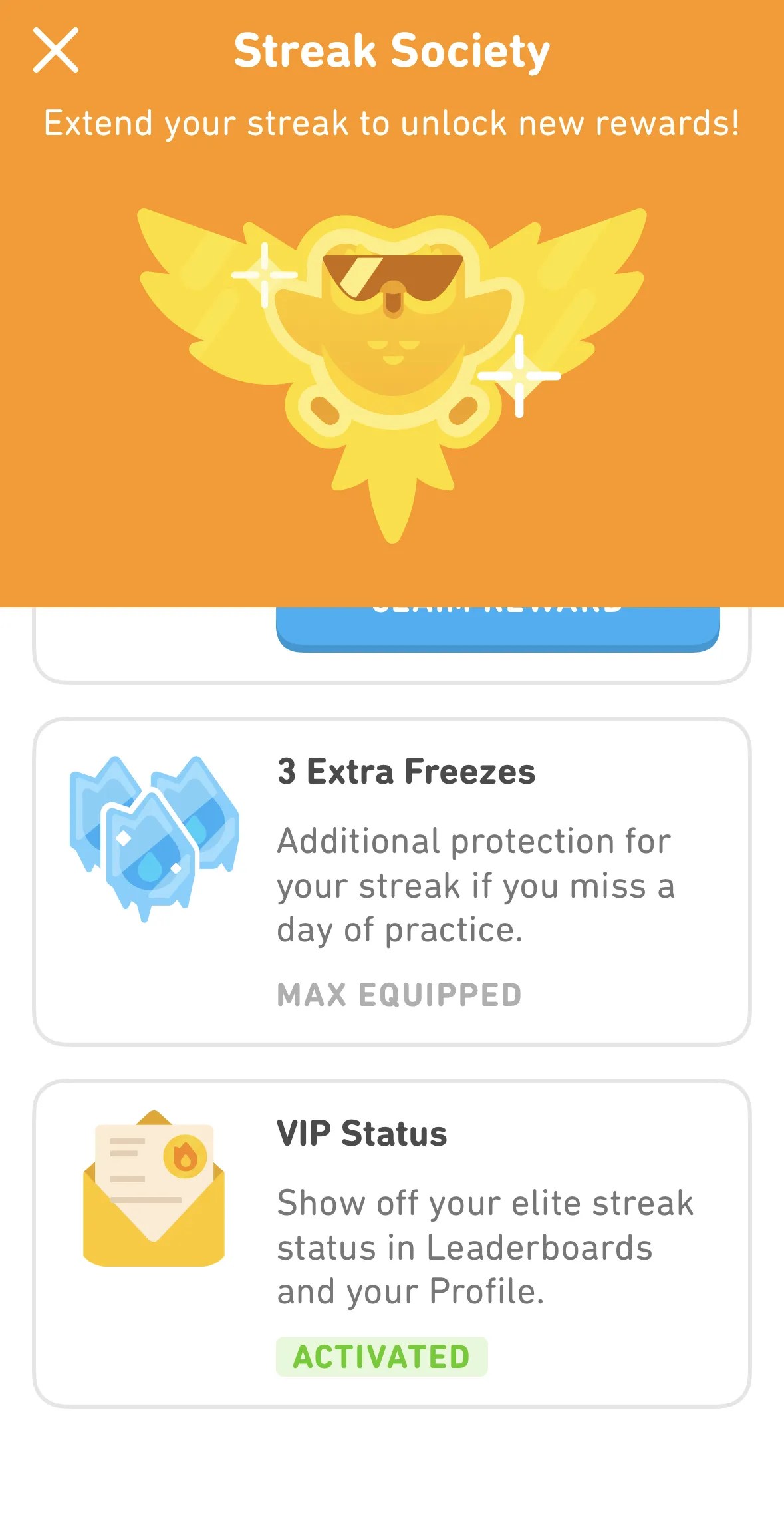 Duolingo VIP Status What Is It, How Do You Get It, Does It Matter?