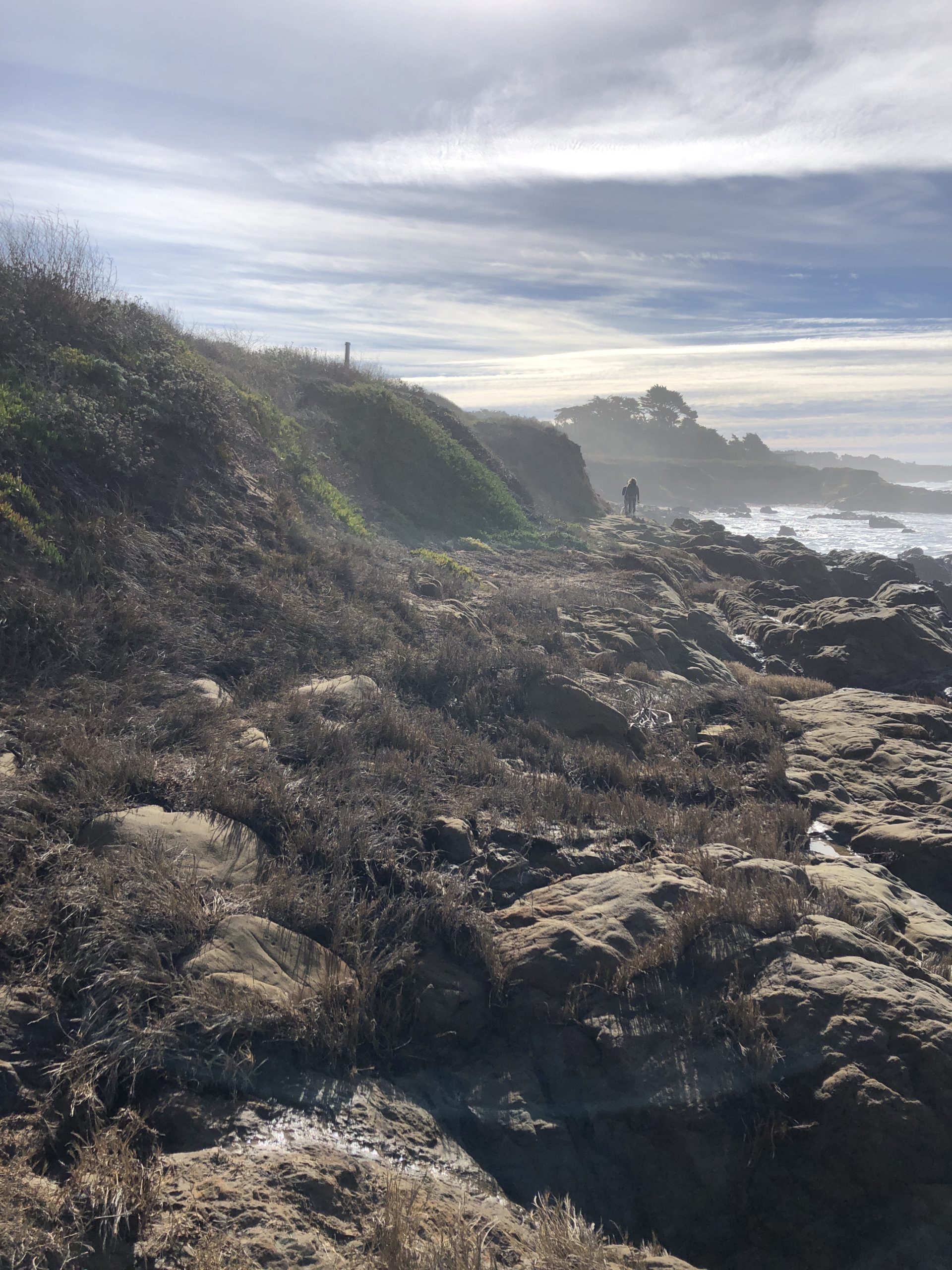 Bean Hollow State Beach Explore Pebble beach duoveo