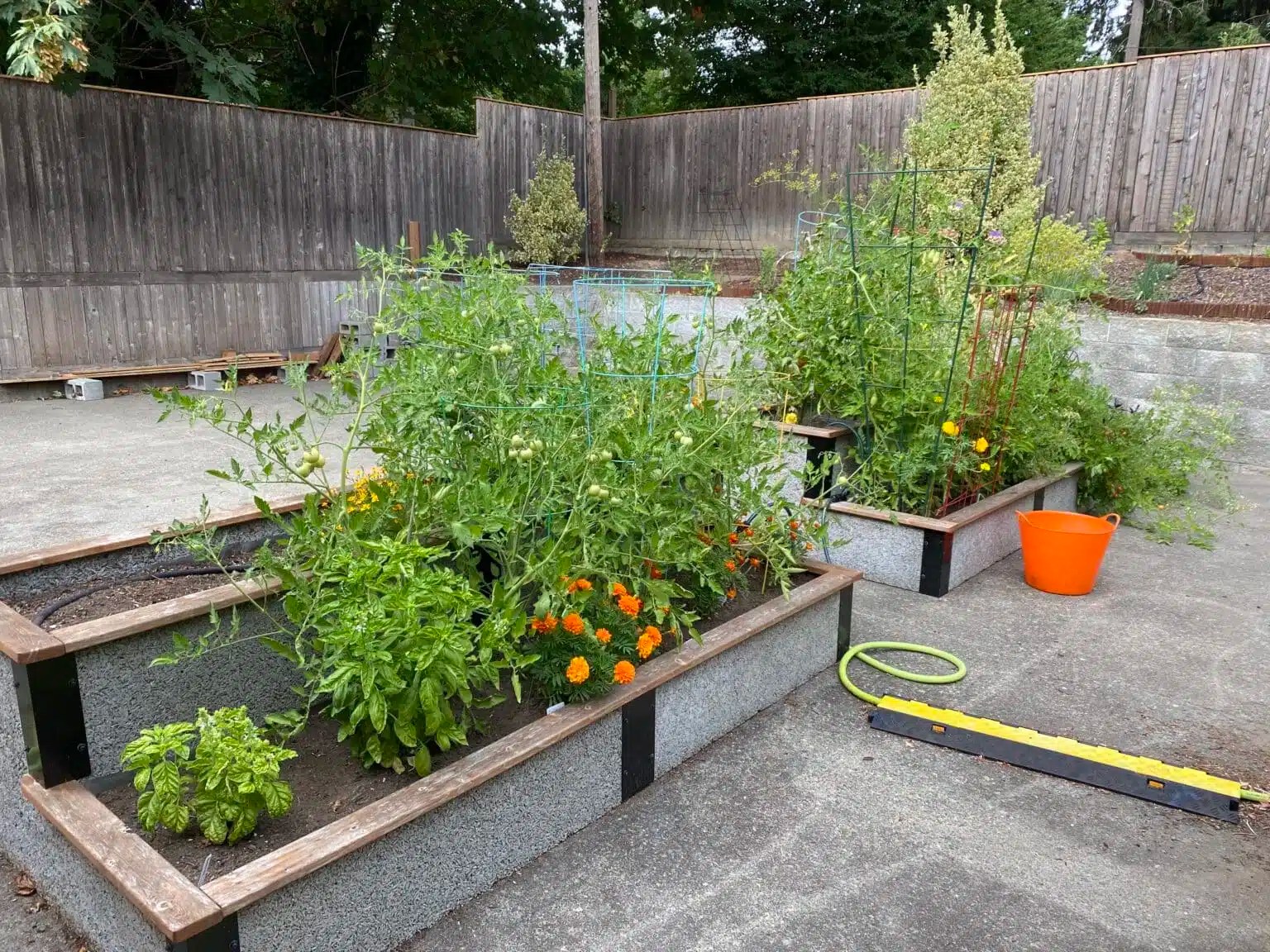 Raised Garden Beds on Concrete Durable GreenBed is Versatile