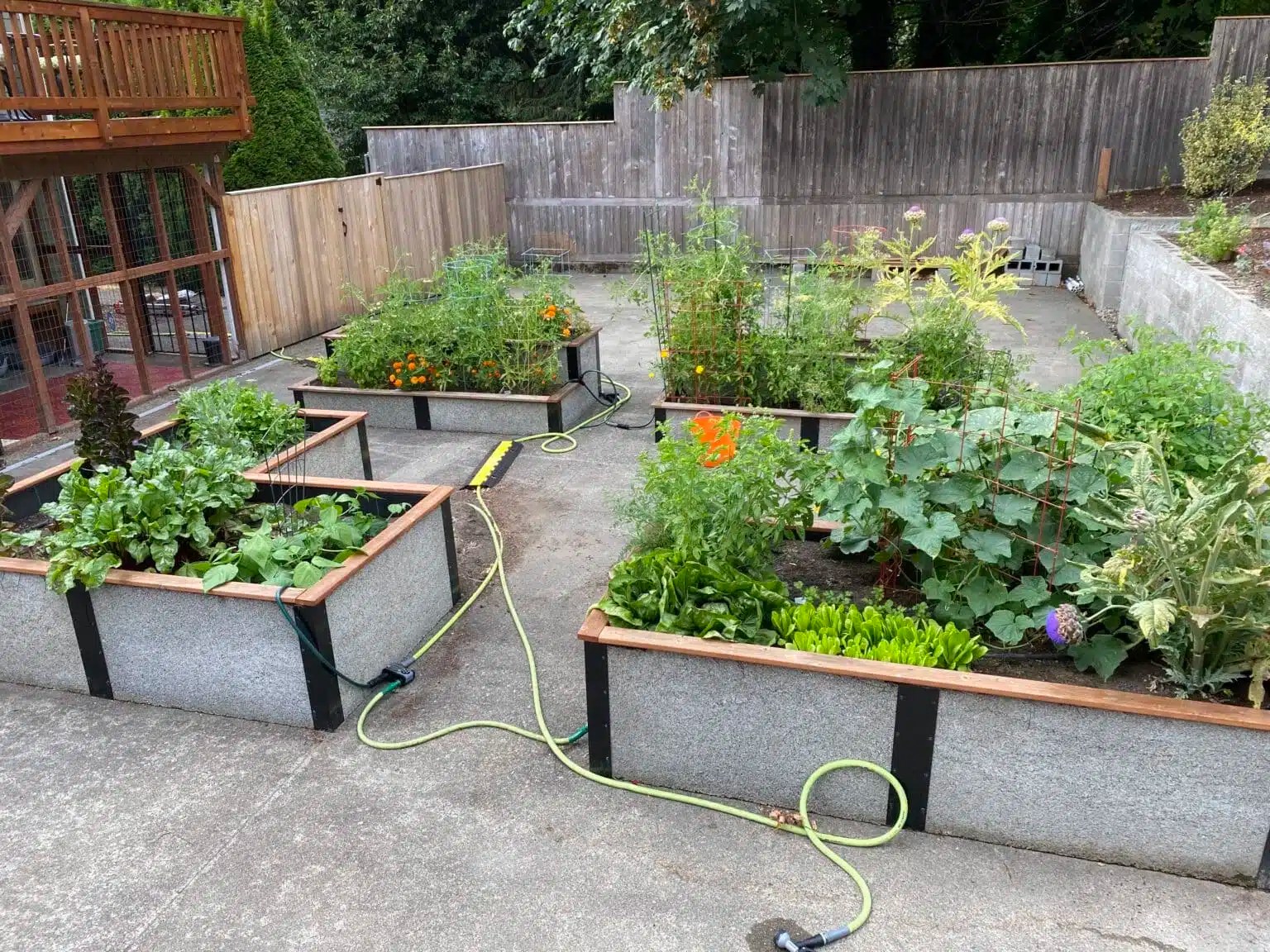 Raised Garden Beds on Concrete Durable GreenBed is Versatile