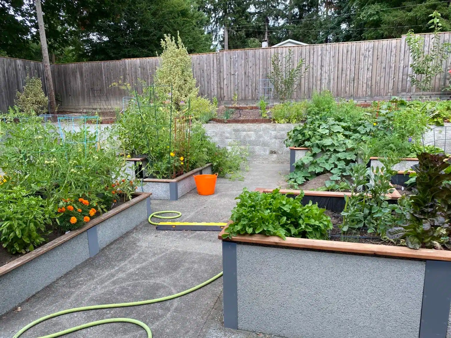 GardenBed of the Month Raised Garden Beds Placed on Concrete