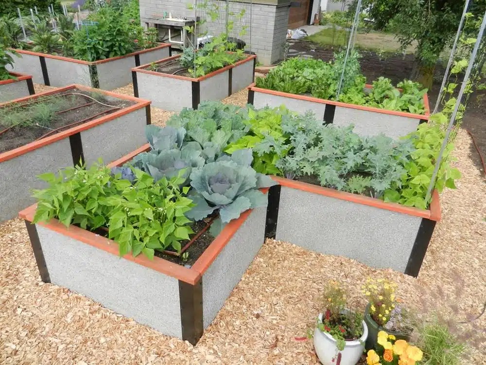 Raised Garden Bed Concrete Corners Garden Design Ideas