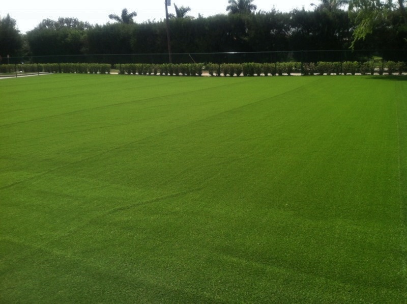 Artificial Turf In West Palm Beach, FL Durafield