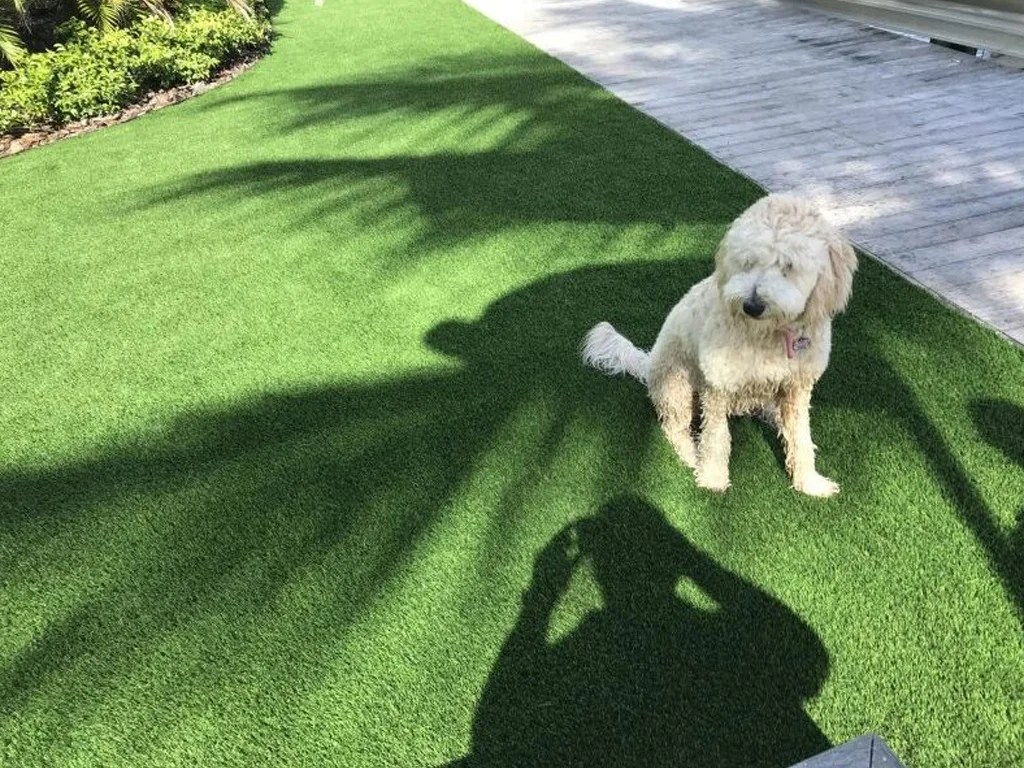 Artificial Grass Supplier & Installer Florida Artificial Turf