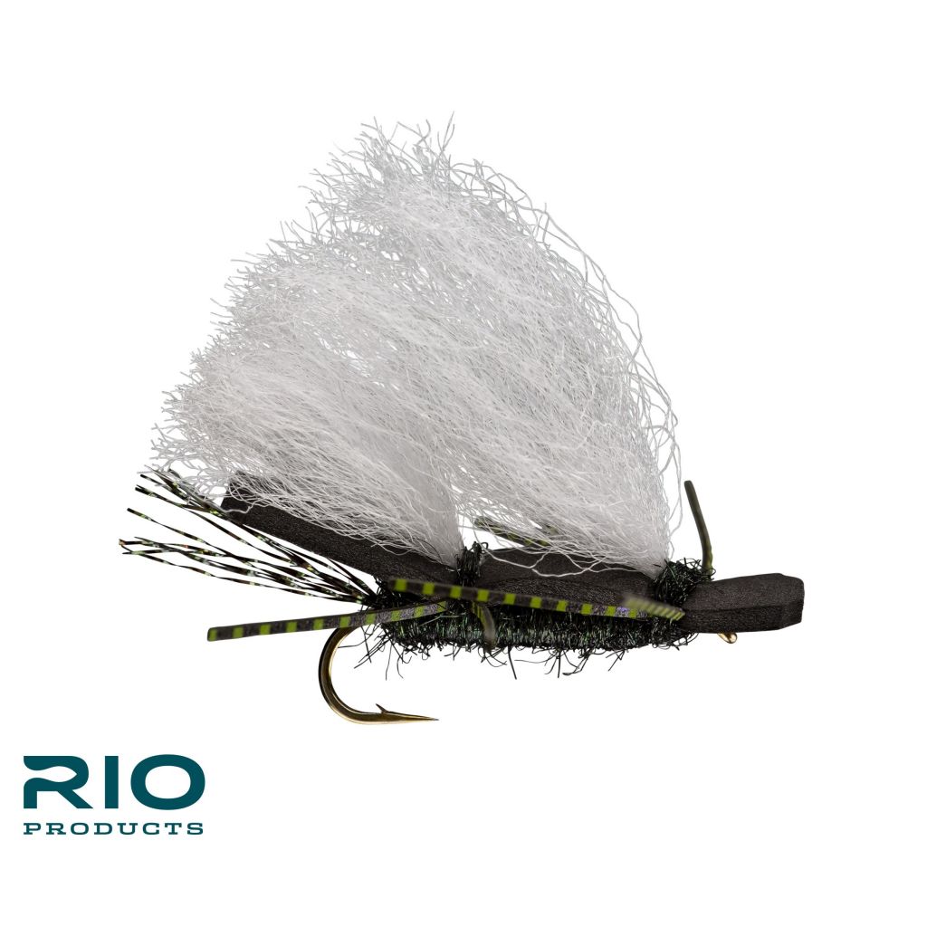 Top 10 Flies For Southwest Colorado